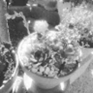 Meet your Posher, Aurelio